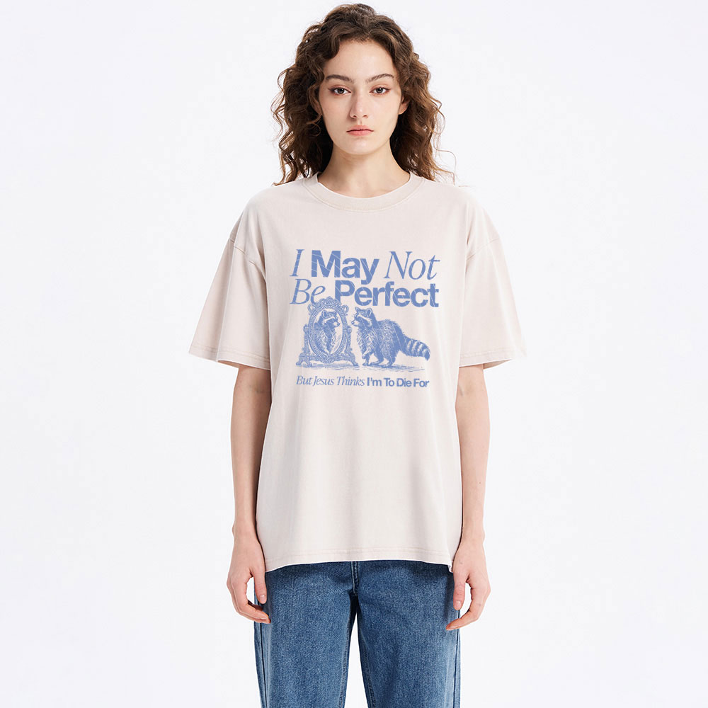 I May Not Be Perfect Chrisian Washed T-Shirt