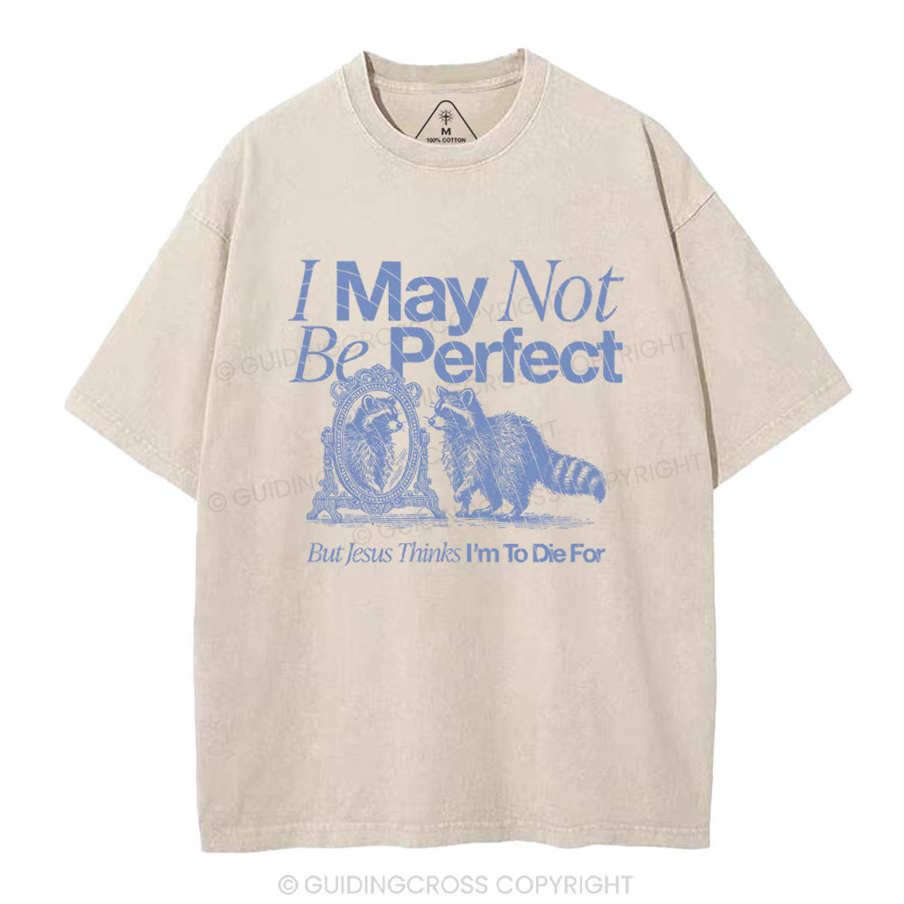 I May Not Be Perfect Chrisian Washed T-Shirt