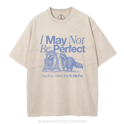 I May Not Be Perfect Chrisian Washed T-Shirt