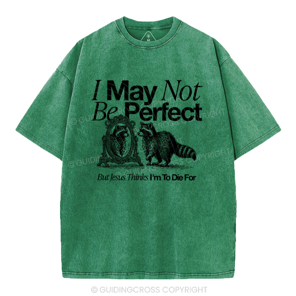 I May Not Be Perfect Chrisian Washed T-Shirt