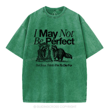 I May Not Be Perfect Chrisian Washed T-Shirt