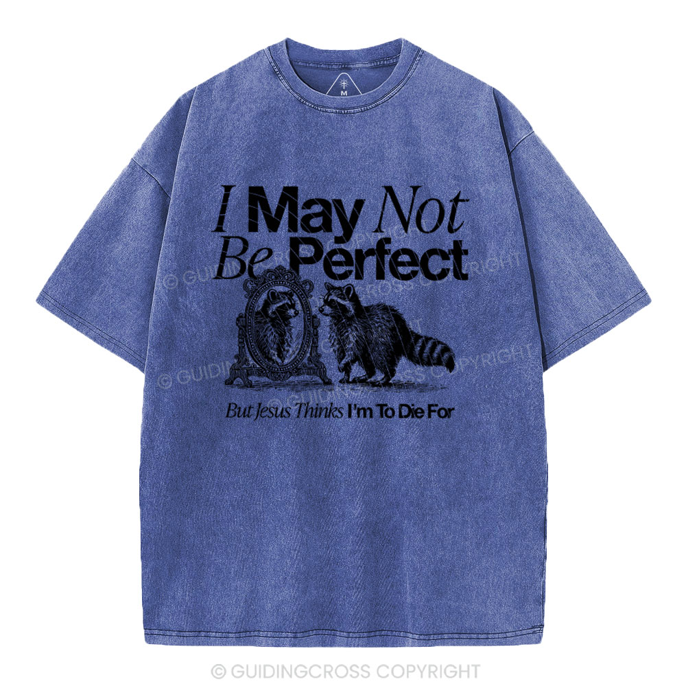 I May Not Be Perfect Chrisian Washed T-Shirt