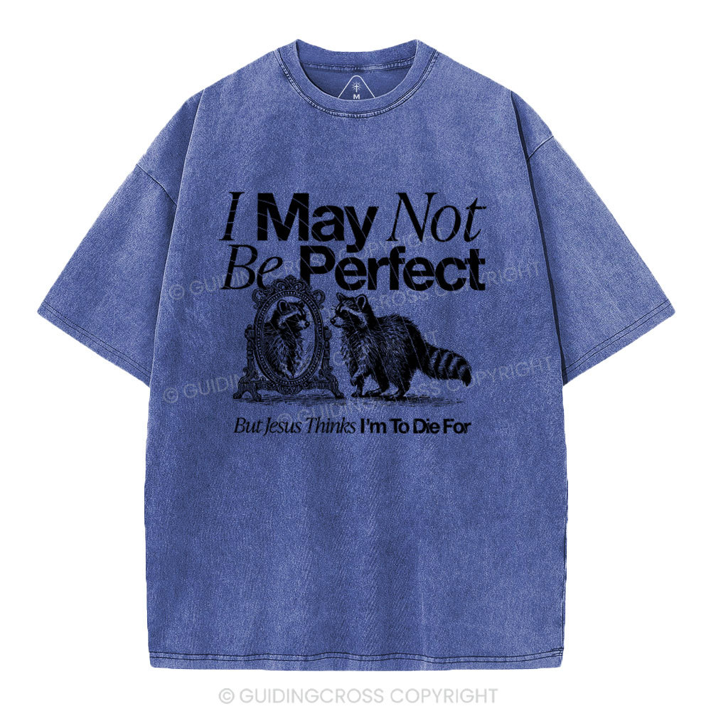 I May Not Be Perfect Chrisian Washed T-Shirt