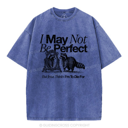I May Not Be Perfect Chrisian Washed T-Shirt