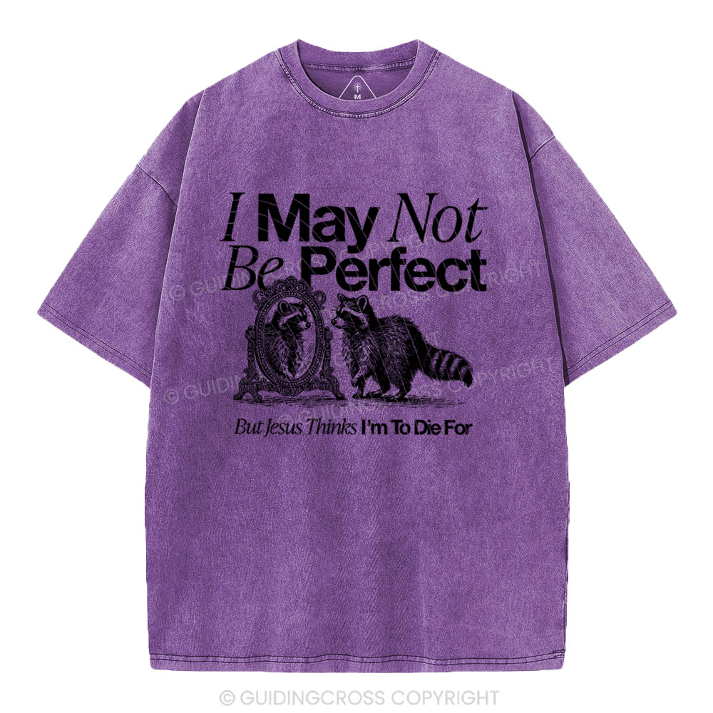 I May Not Be Perfect Chrisian Washed T-Shirt