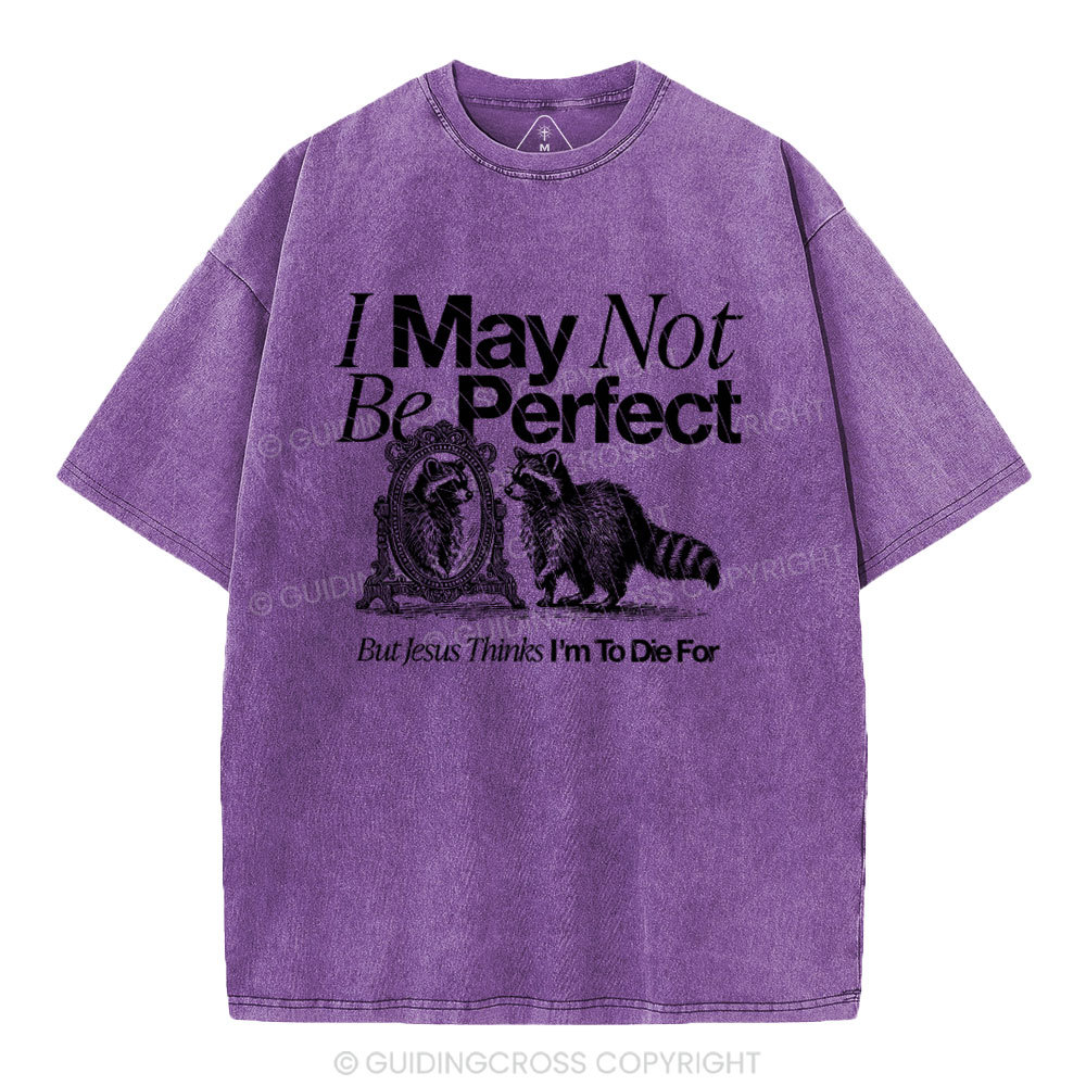 I May Not Be Perfect Chrisian Washed T-Shirt