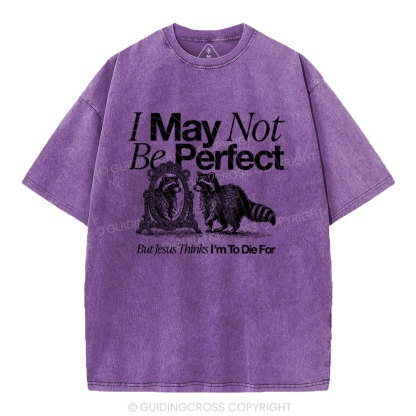 I May Not Be Perfect Chrisian Washed T-Shirt