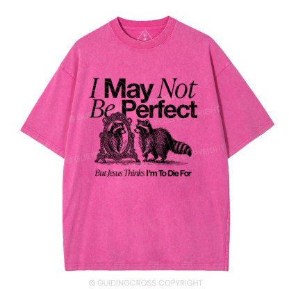 I May Not Be Perfect Chrisian Washed T-Shirt