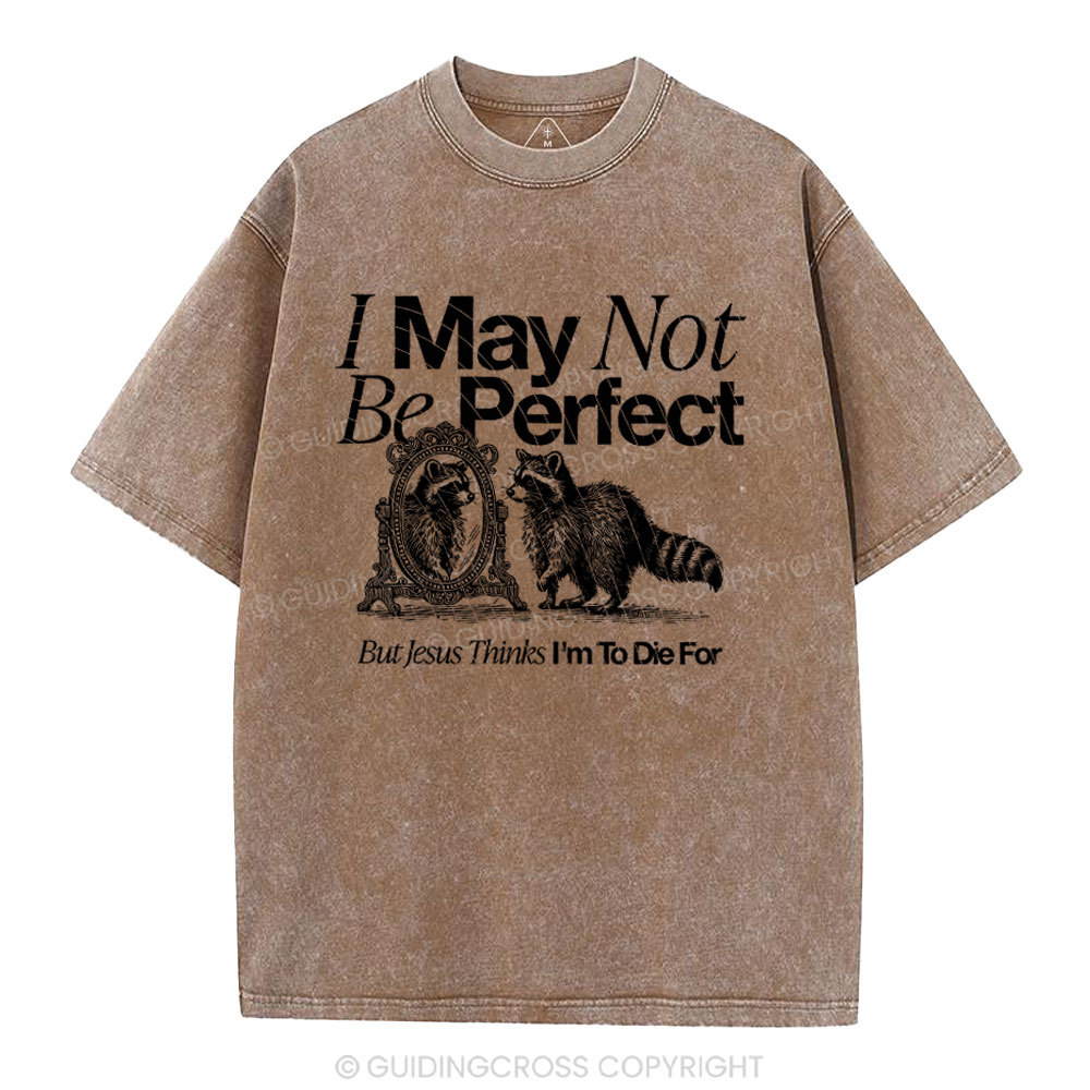 I May Not Be Perfect Chrisian Washed T-Shirt