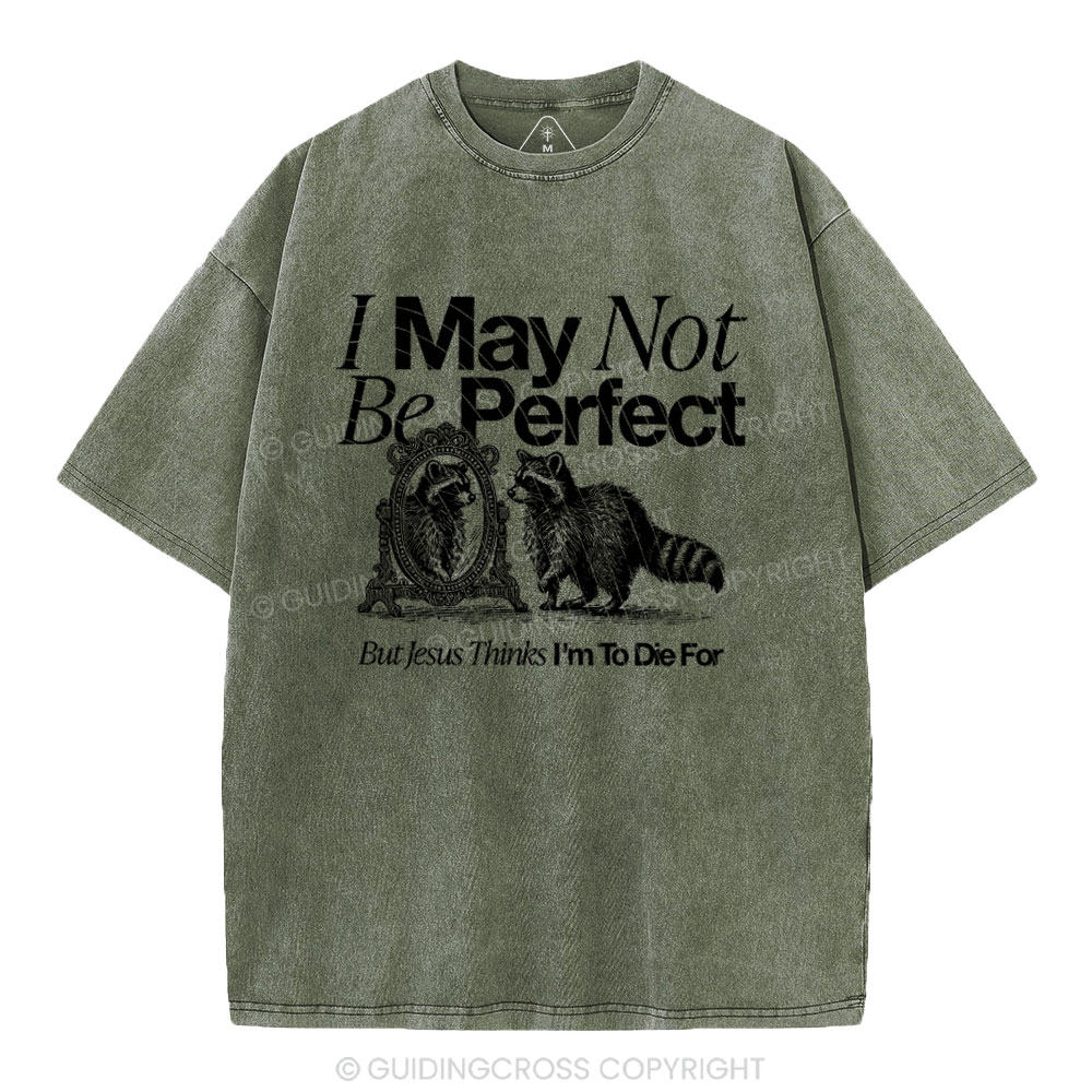 I May Not Be Perfect Chrisian Washed T-Shirt
