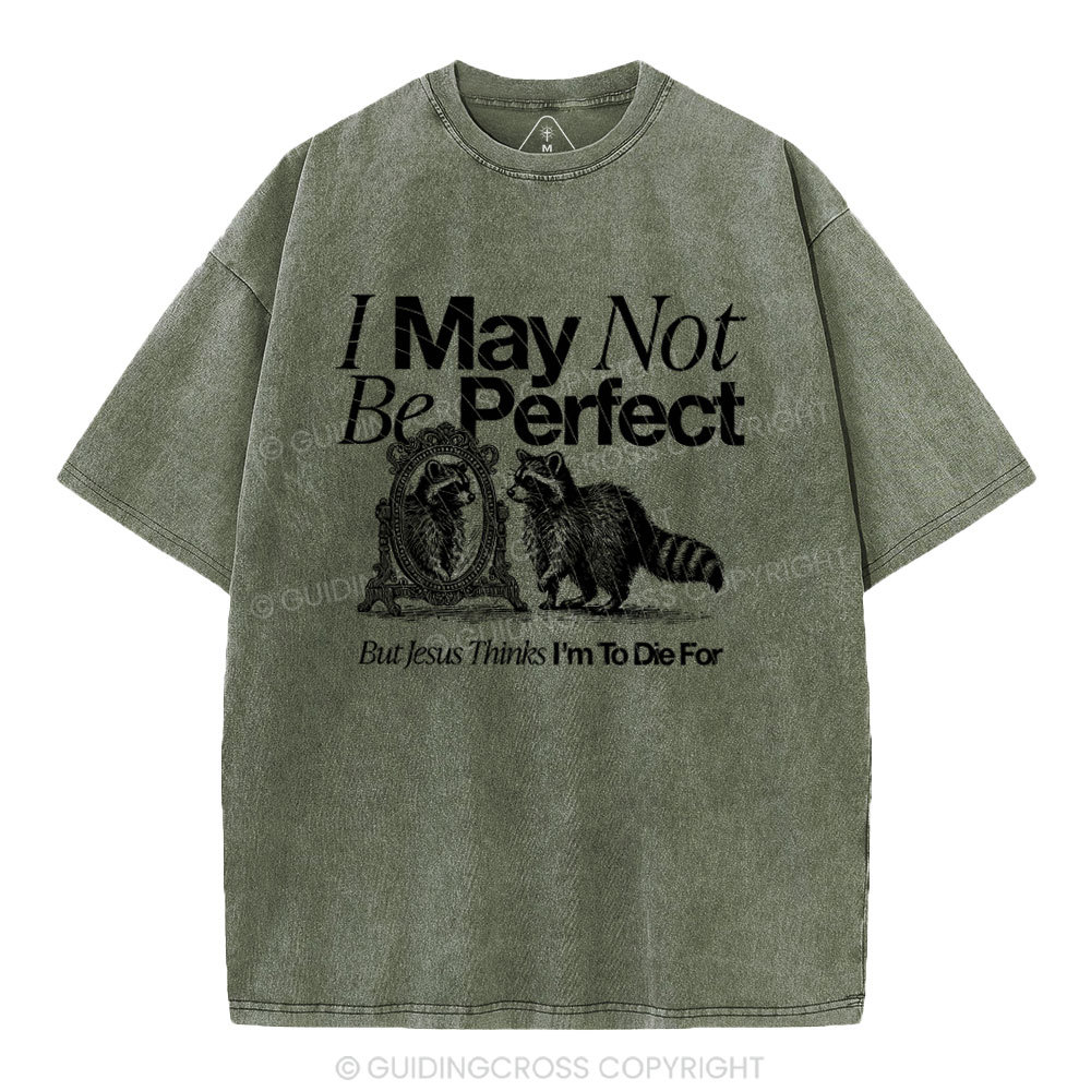 I May Not Be Perfect Chrisian Washed T-Shirt