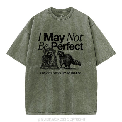 I May Not Be Perfect Chrisian Washed T-Shirt