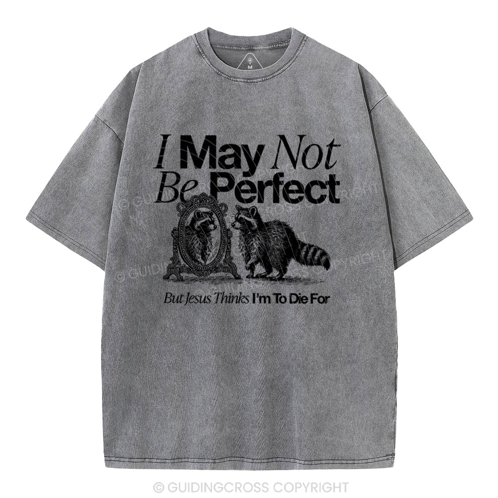 I May Not Be Perfect Chrisian Washed T-Shirt