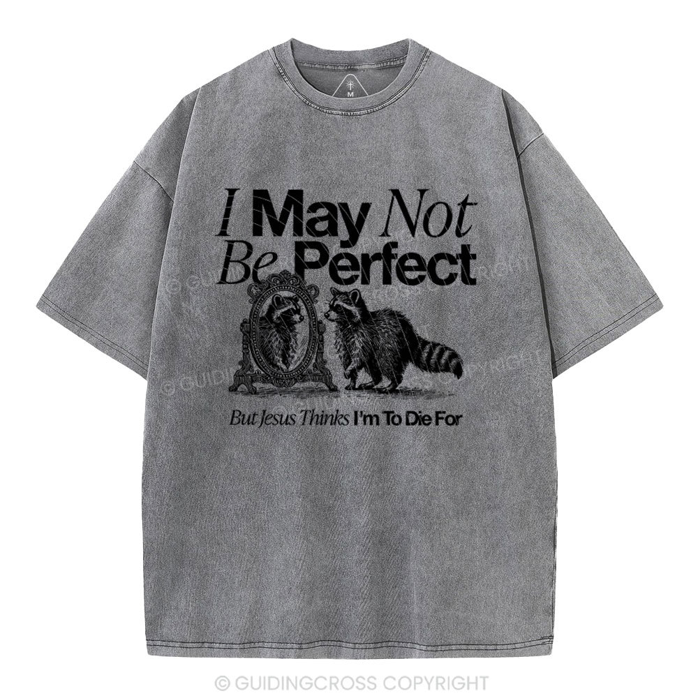 I May Not Be Perfect Chrisian Washed T-Shirt
