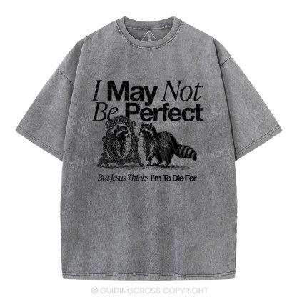 I May Not Be Perfect Chrisian Washed T-Shirt