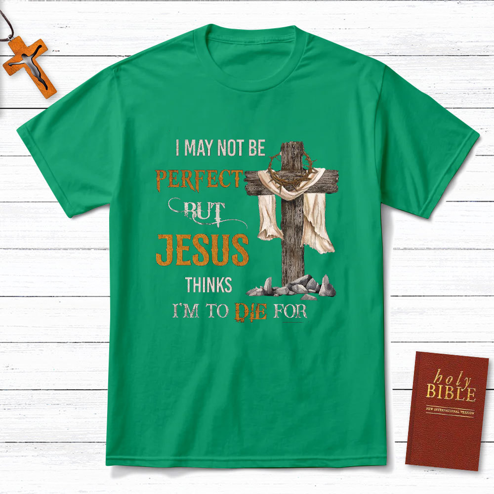 I May Not Be Perfect Christian T-Shirt