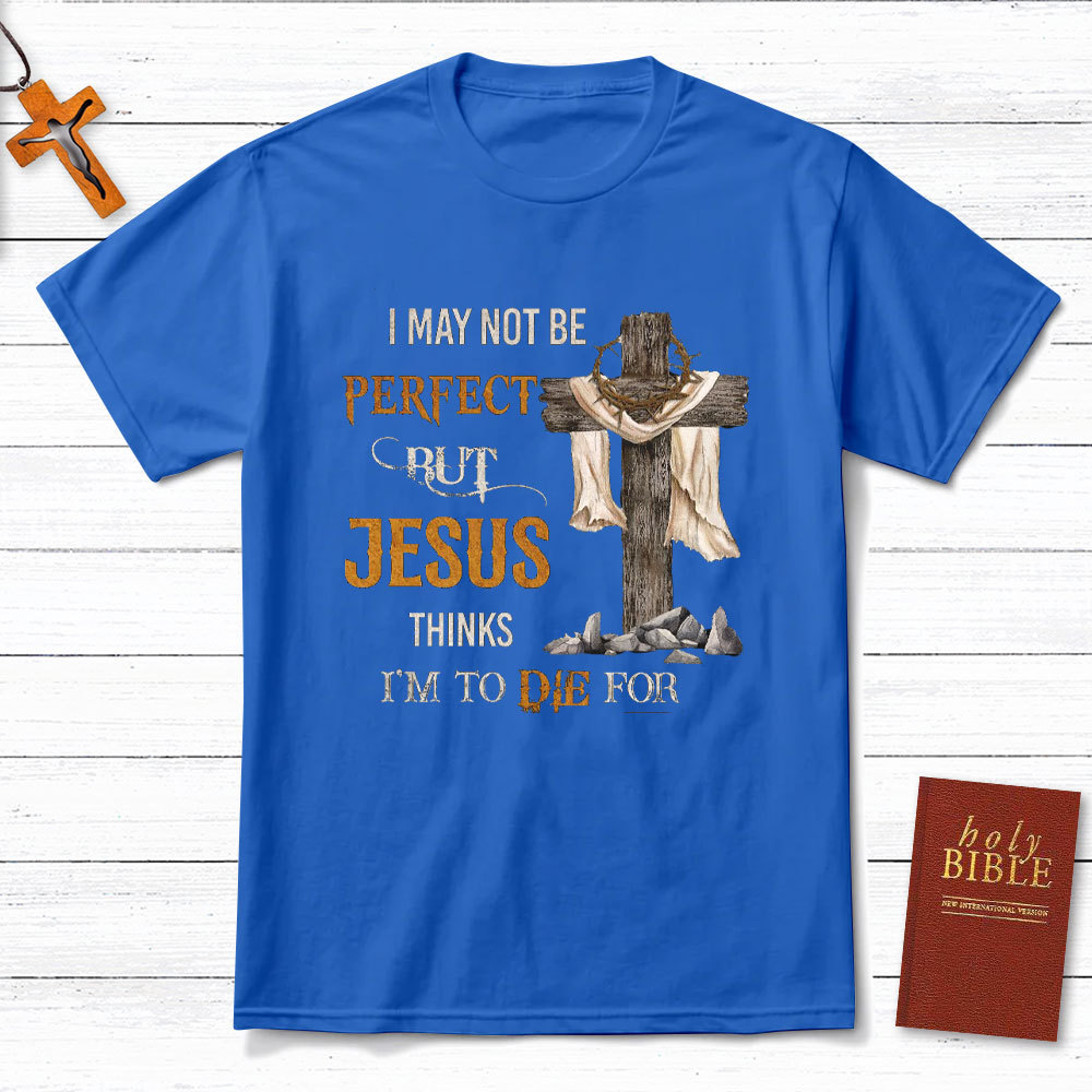 I May Not Be Perfect Christian T-Shirt