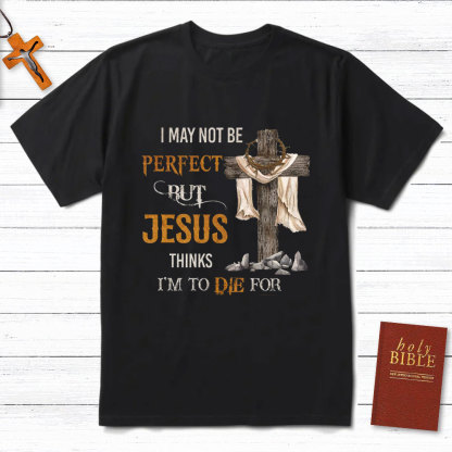 I May Not Be Perfect Christian T-Shirt