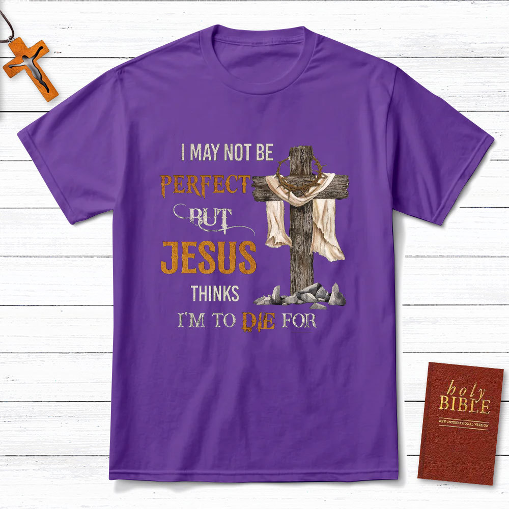 I May Not Be Perfect Christian T-Shirt