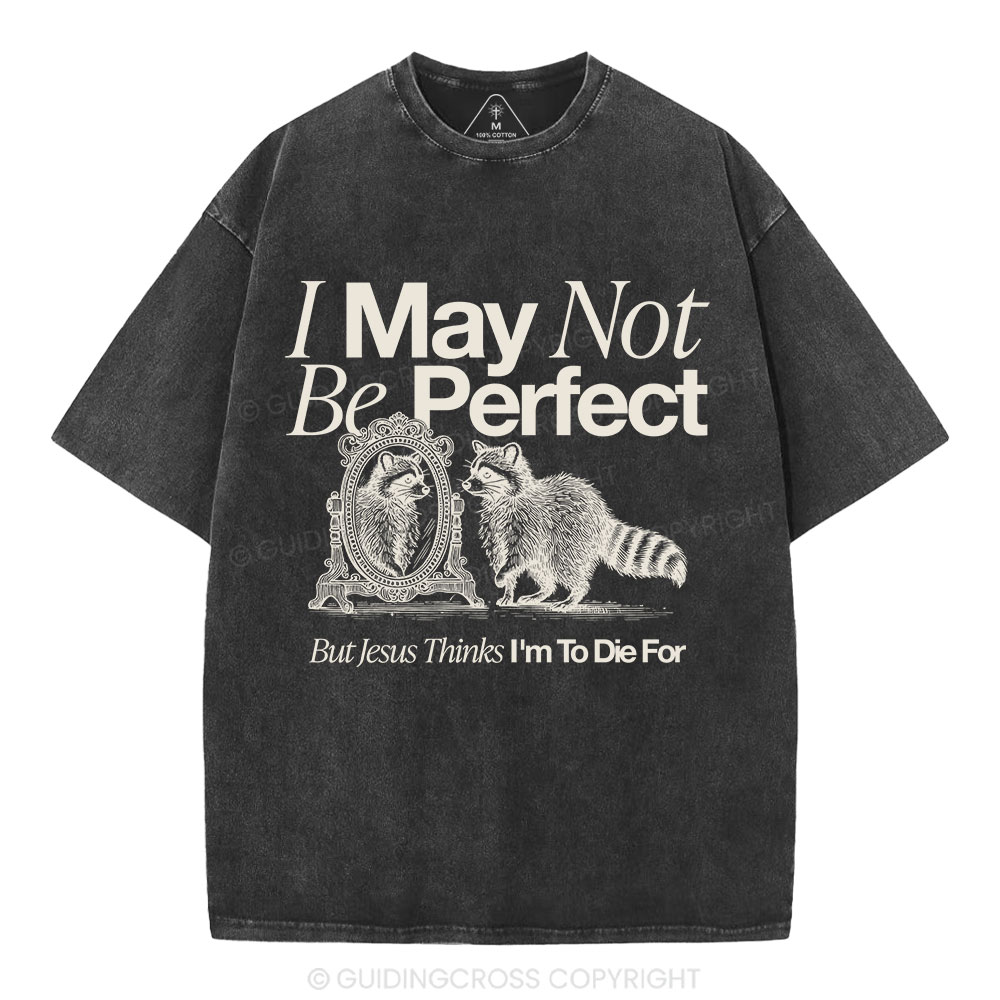 I May Not Be Perfect Christian Washed T-Shirt