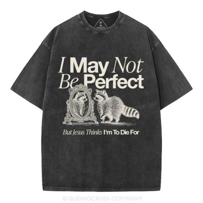 I May Not Be Perfect Christian Washed T-Shirt