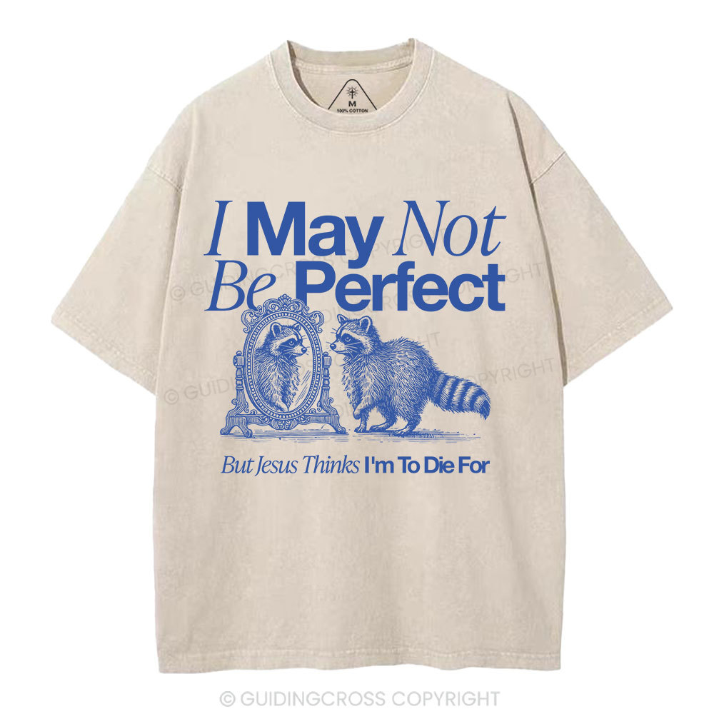 I May Not Be Perfect Christian Washed T-Shirt