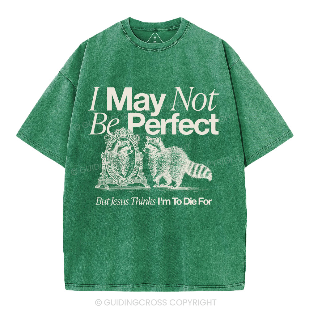 I May Not Be Perfect Christian Washed T-Shirt