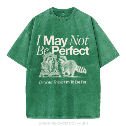 I May Not Be Perfect Christian Washed T-Shirt