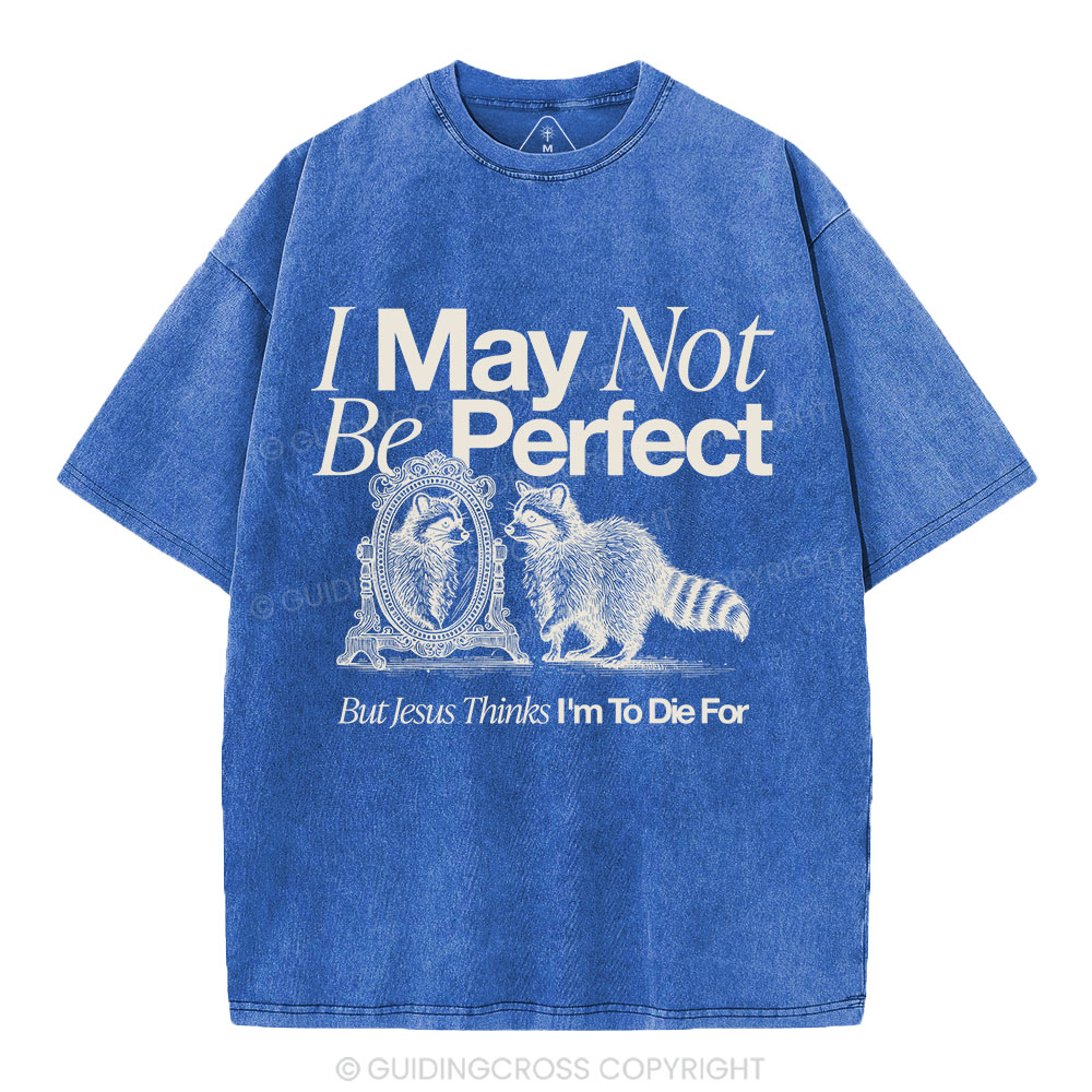 I May Not Be Perfect Christian Washed T-Shirt