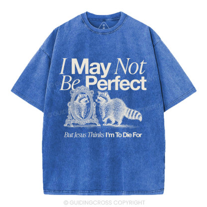I May Not Be Perfect Christian Washed T-Shirt