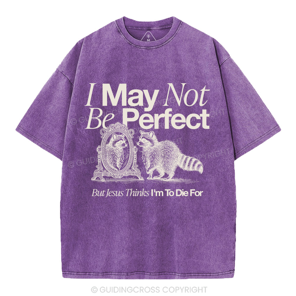 I May Not Be Perfect Christian Washed T-Shirt