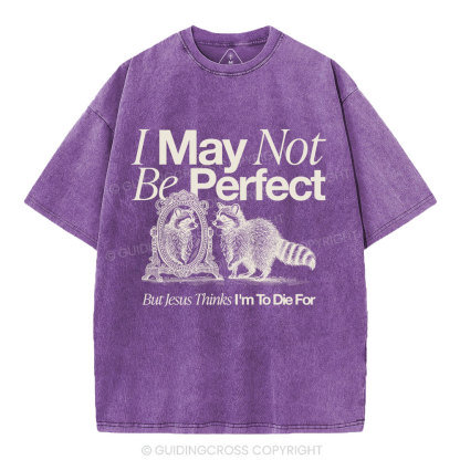 I May Not Be Perfect Christian Washed T-Shirt