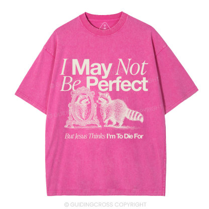 I May Not Be Perfect Christian Washed T-Shirt