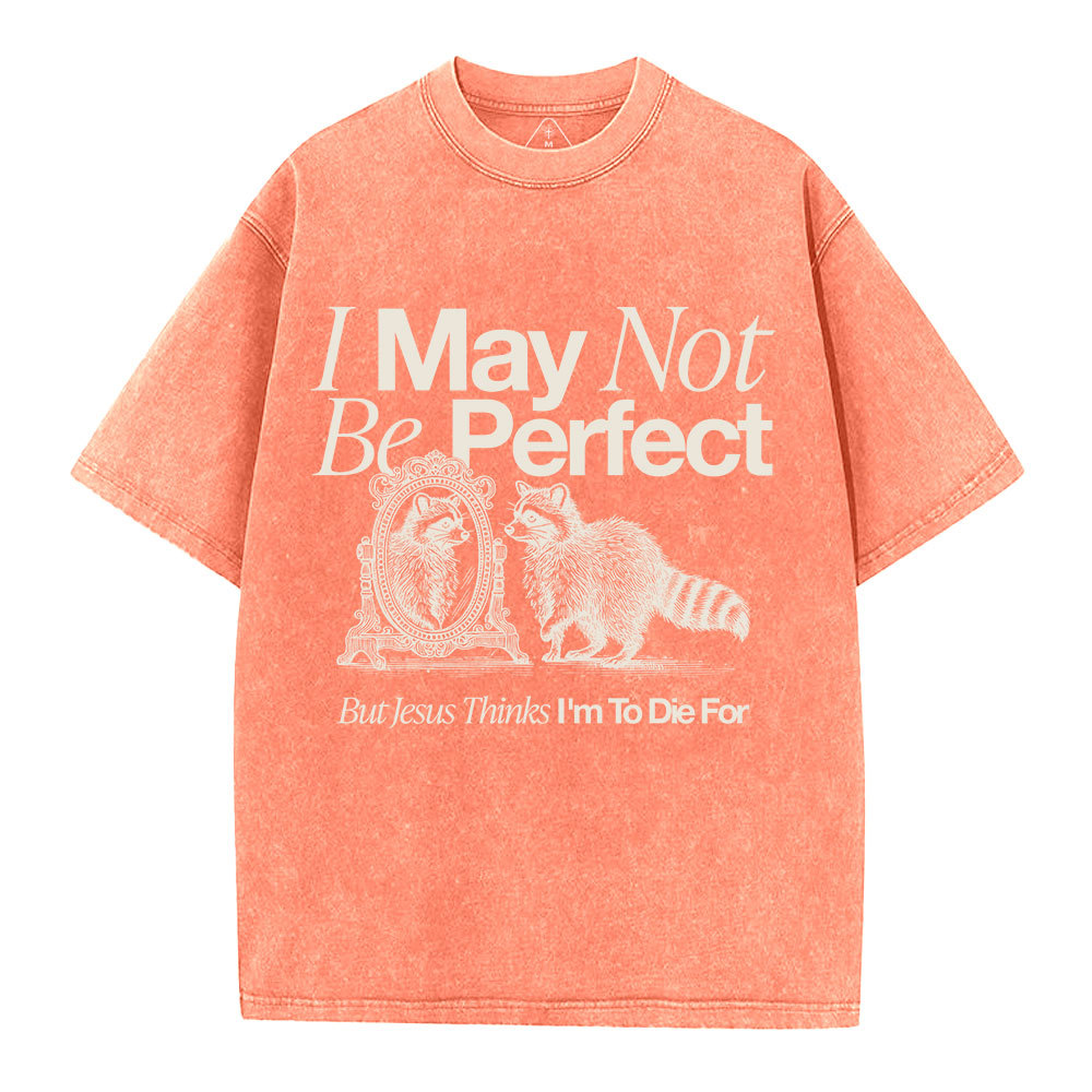 I May Not Be Perfect Christian Washed T-Shirt