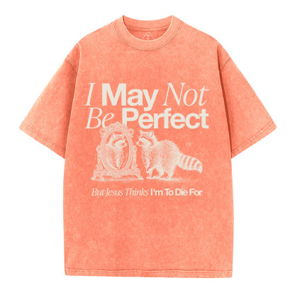 I May Not Be Perfect Christian Washed T-Shirt
