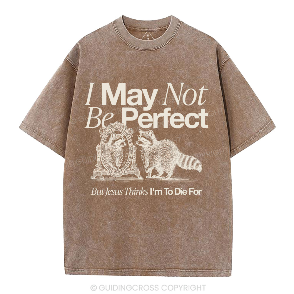 I May Not Be Perfect Christian Washed T-Shirt