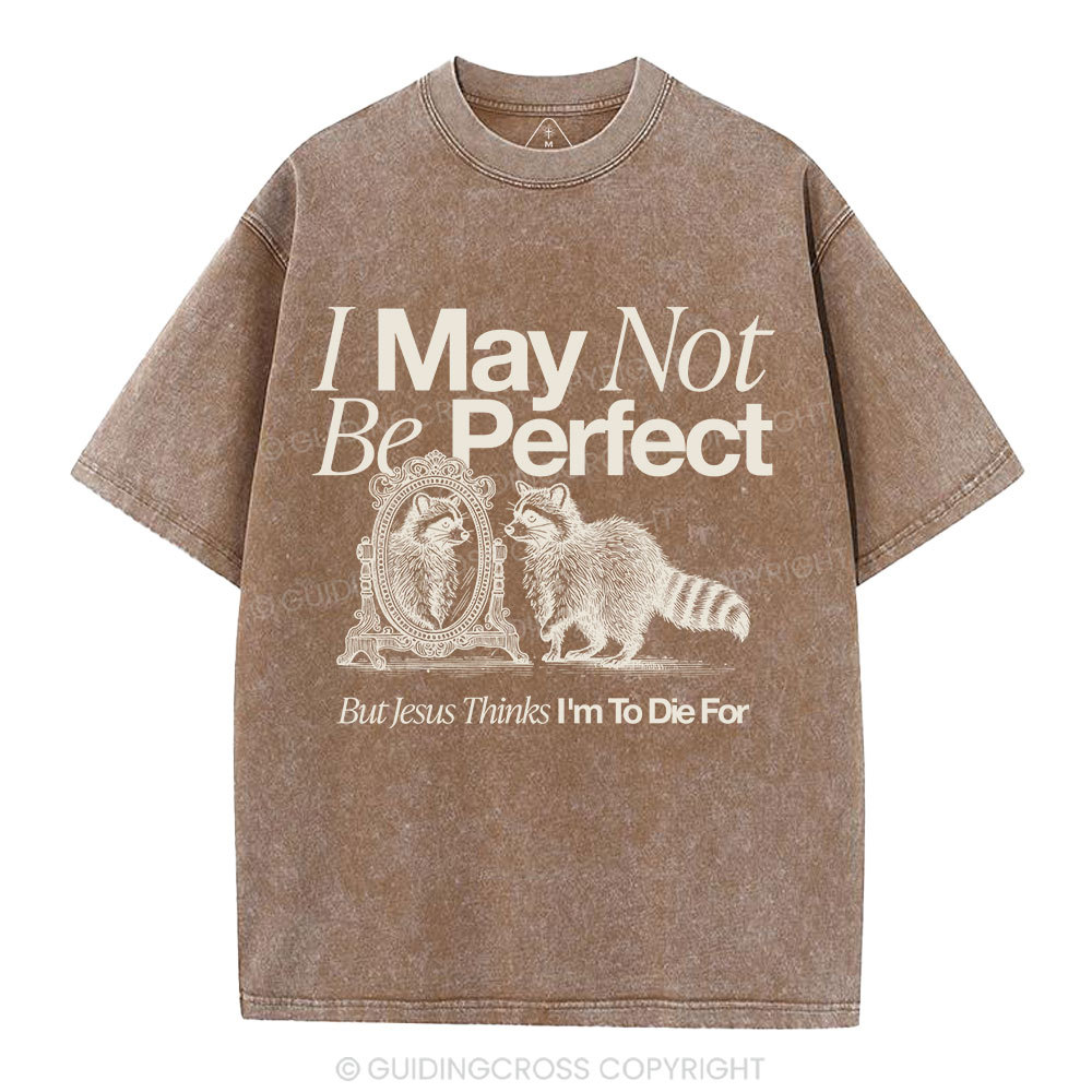 I May Not Be Perfect Christian Washed T-Shirt