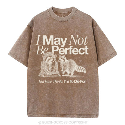 I May Not Be Perfect Christian Washed T-Shirt