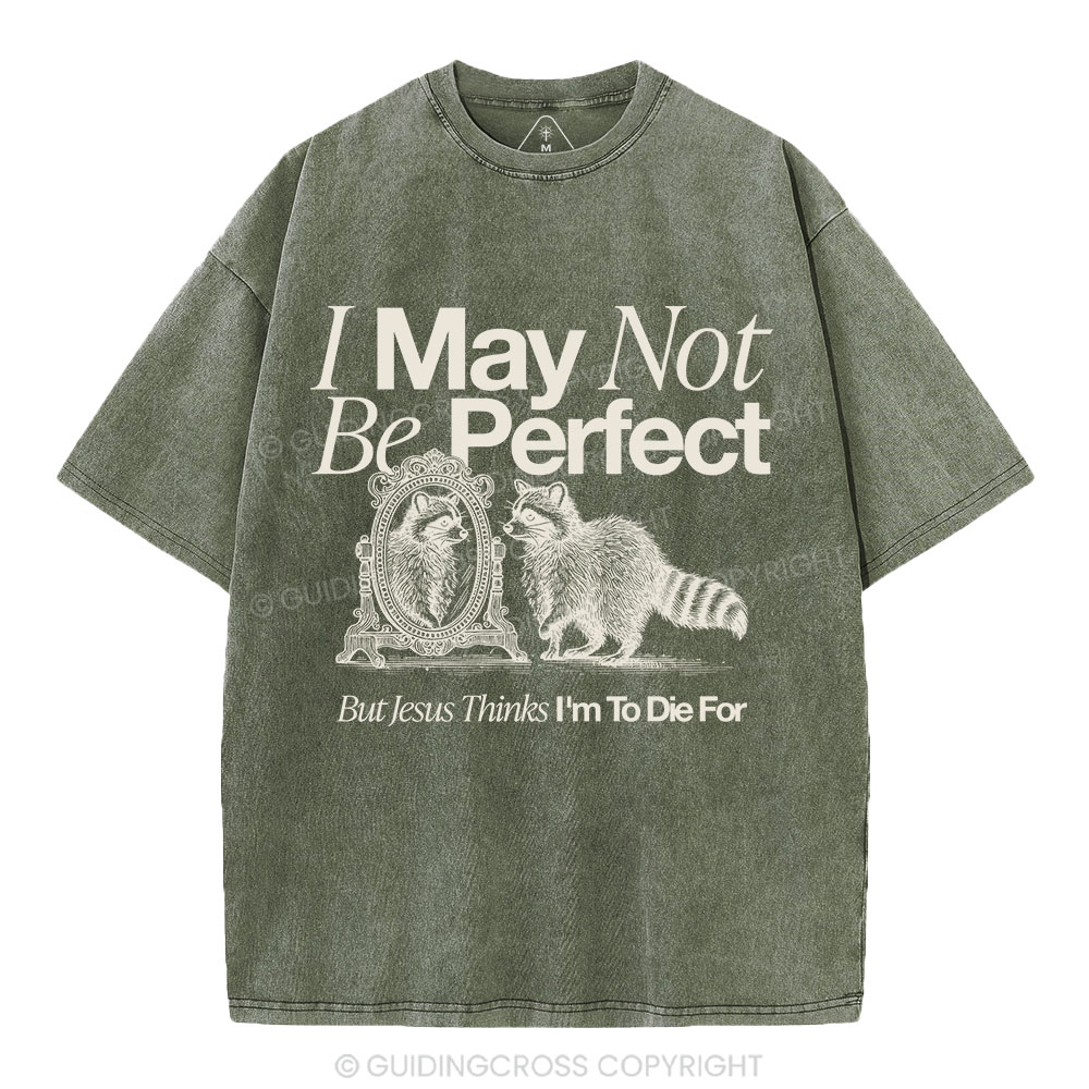 I May Not Be Perfect Christian Washed T-Shirt