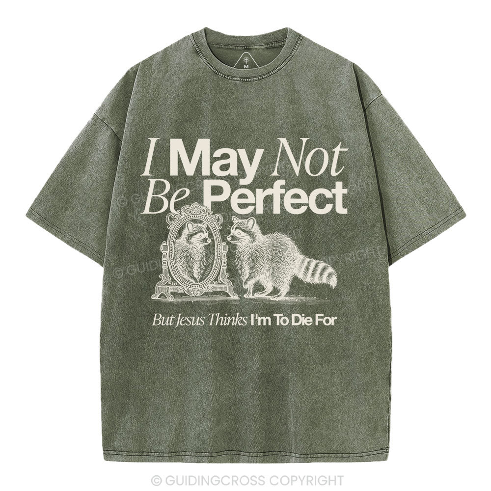 I May Not Be Perfect Christian Washed T-Shirt