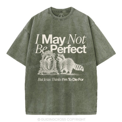 I May Not Be Perfect Christian Washed T-Shirt