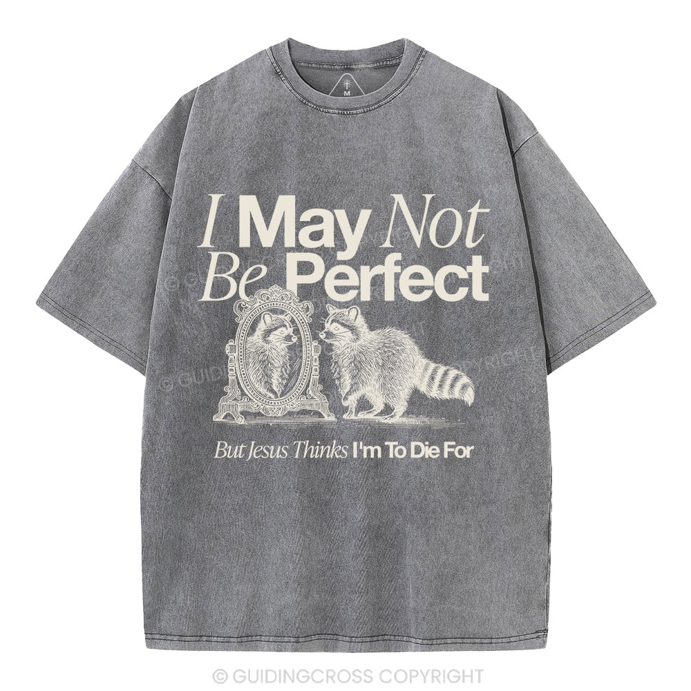 I May Not Be Perfect Christian Washed T-Shirt