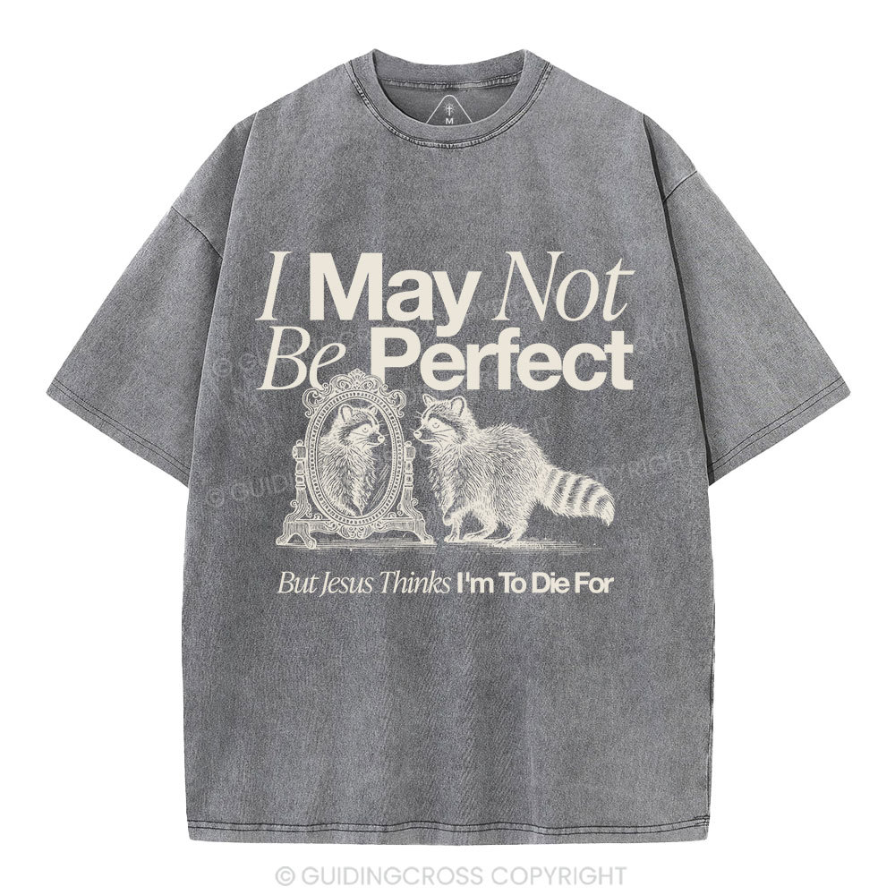 I May Not Be Perfect Christian Washed T-Shirt