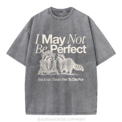 I May Not Be Perfect Christian Washed T-Shirt