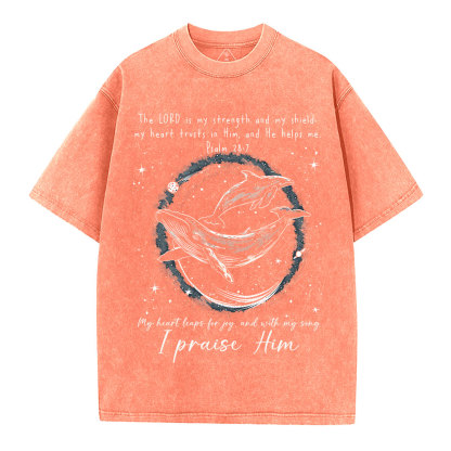 I Praise Him Christian Washed T-Shirt