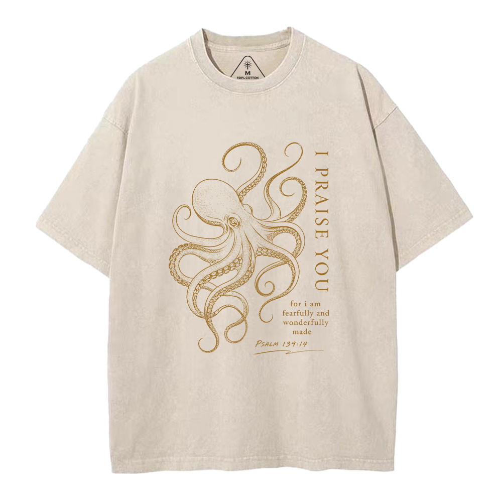 I Praise You Christian Washed T-Shirt