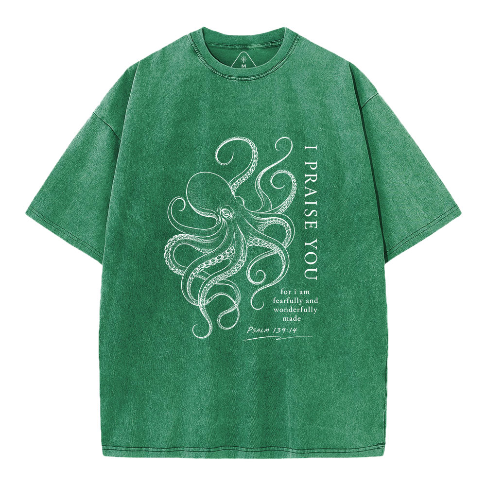 I Praise You Christian Washed T-Shirt