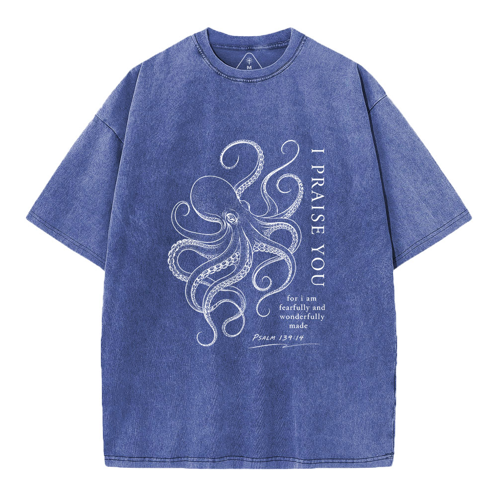I Praise You Christian Washed T-Shirt