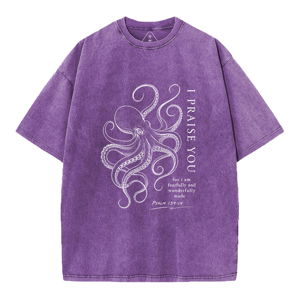 I Praise You Christian Washed T-Shirt