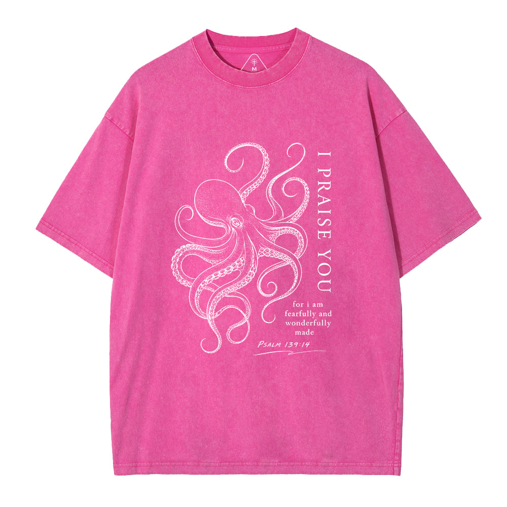 I Praise You Christian Washed T-Shirt